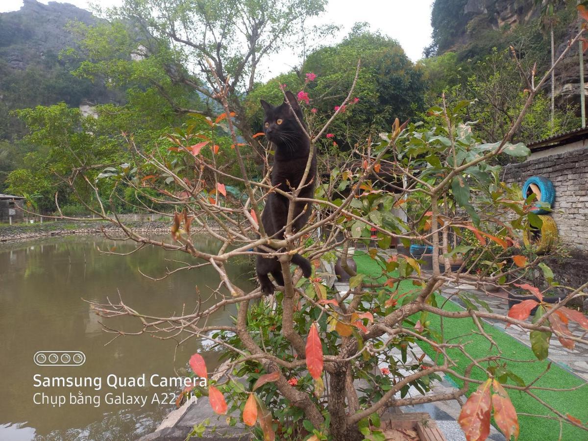 Trang An Pristine View Homestay Нин Бин Екстериор снимка
