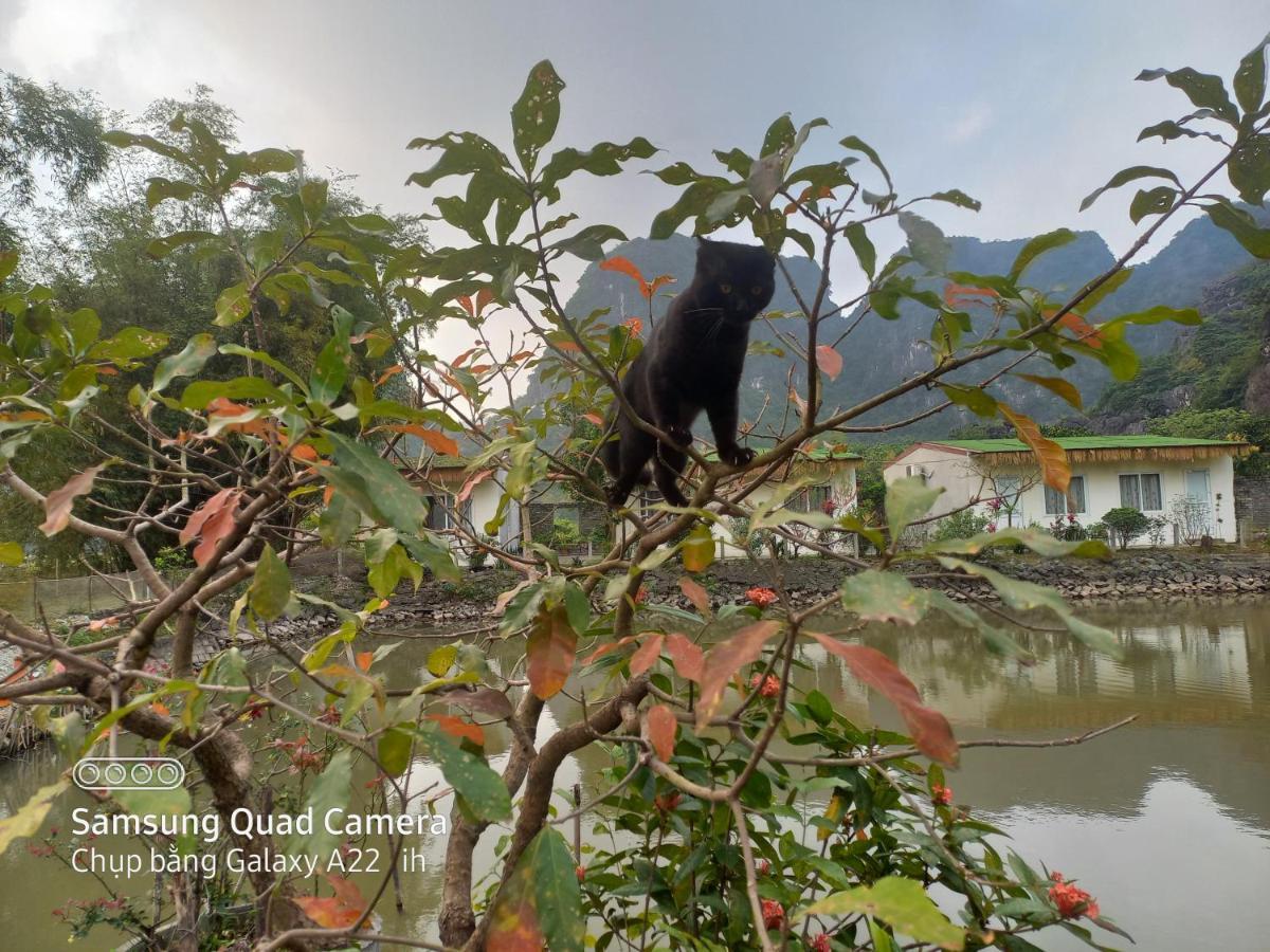 Trang An Pristine View Homestay Нин Бин Екстериор снимка